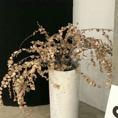 景德镇FurryQQ群介绍